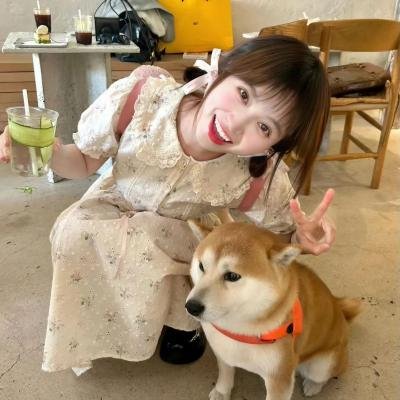 爱情的理解